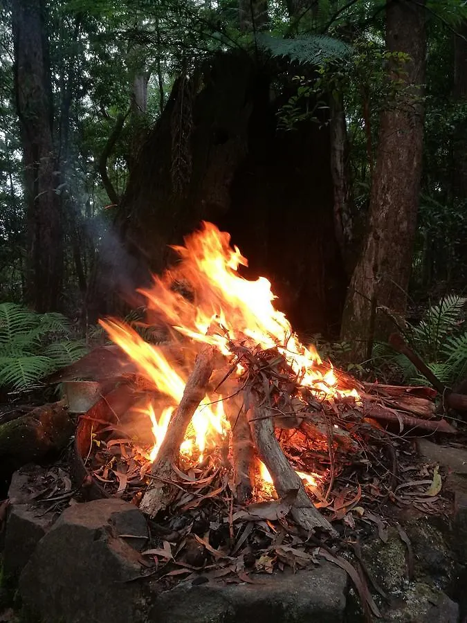 Privatunterkunft Ferienwohnung Springbrook Storybook Australien